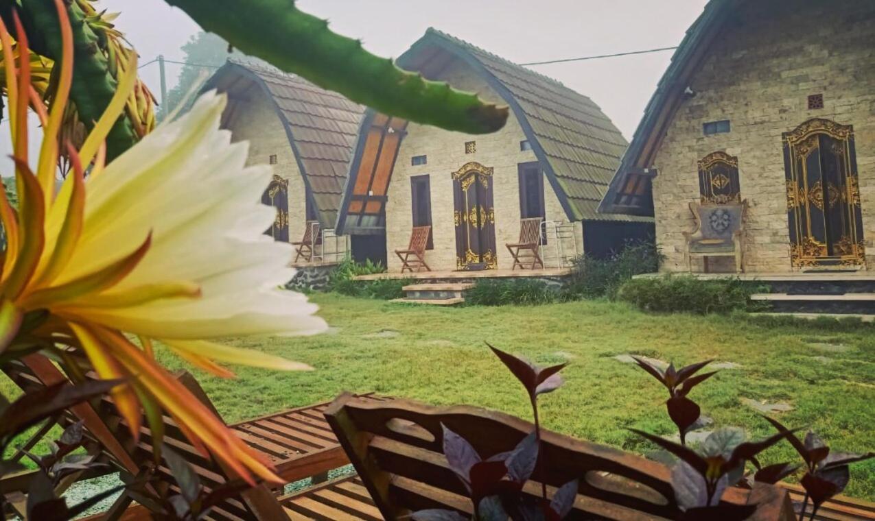 Bunbulan Hill Hostel Kintamani Dış mekan fotoğraf