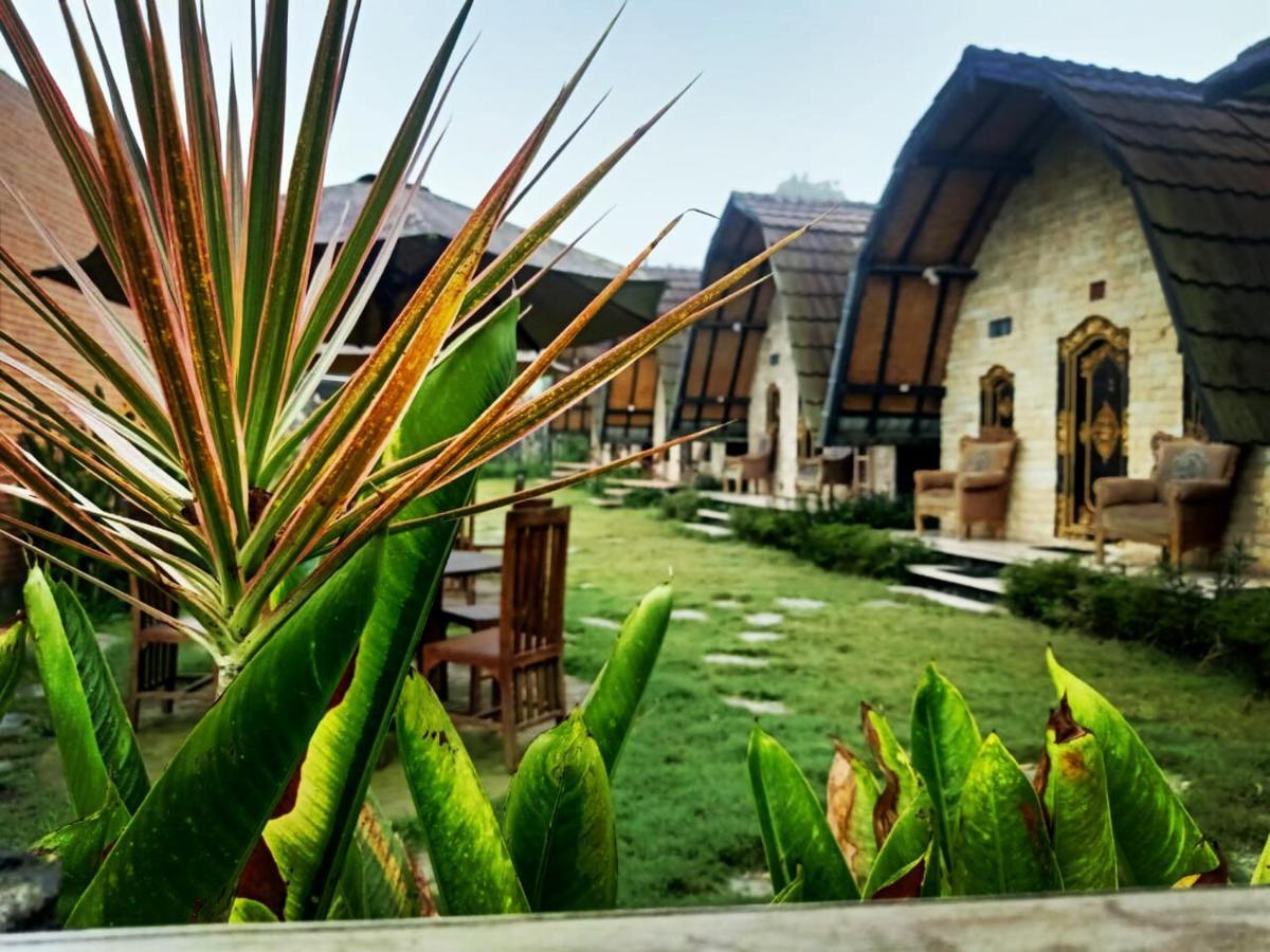 Bunbulan Hill Hostel Kintamani Dış mekan fotoğraf