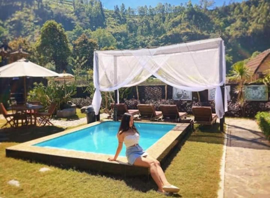 Bunbulan Hill Hostel Kintamani Dış mekan fotoğraf